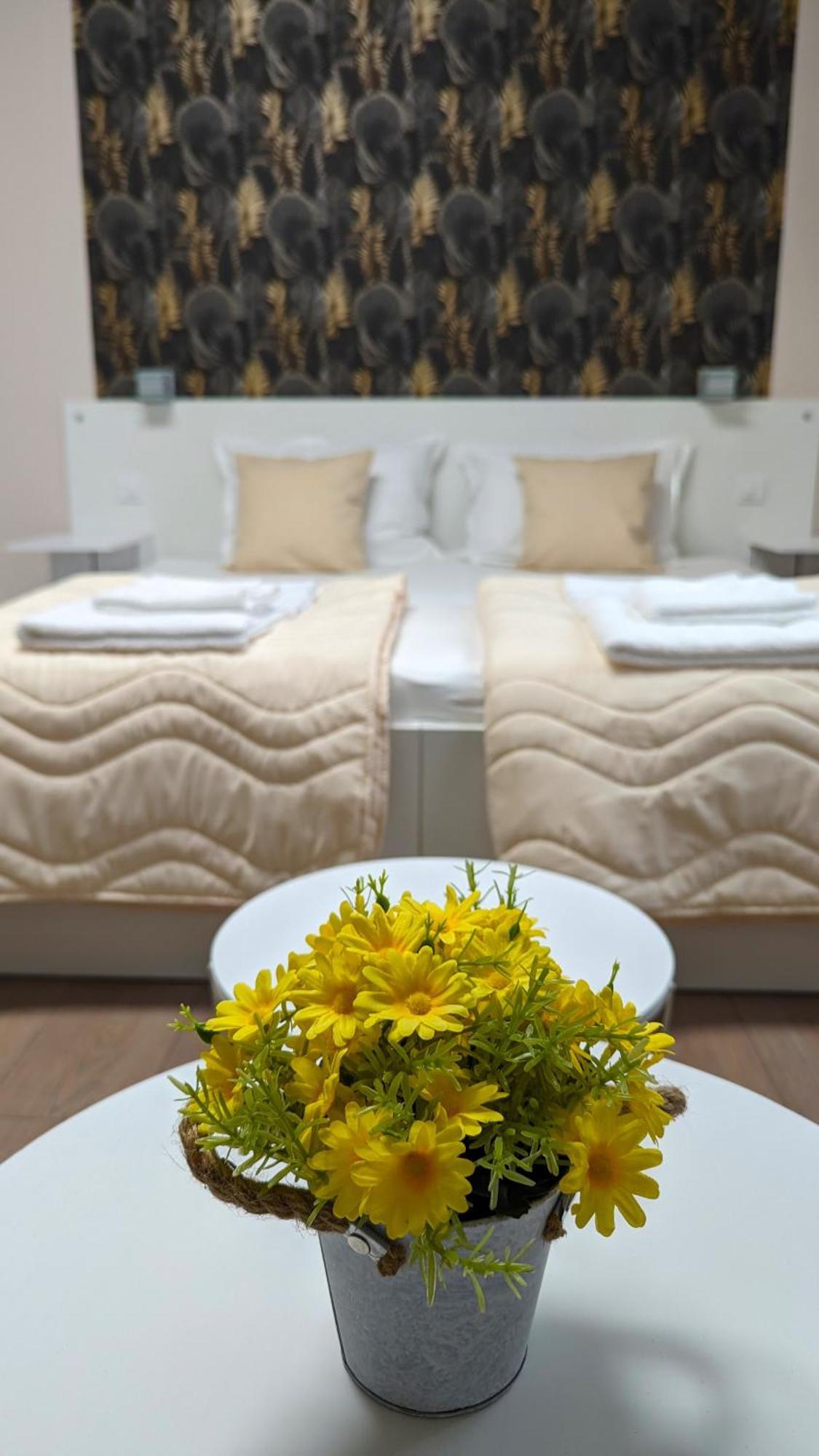 Apartmani Tomic Kladovo Exterior foto